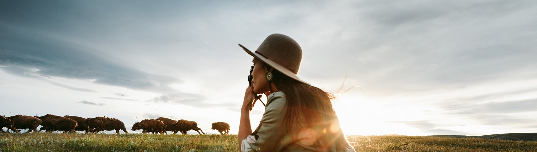 Woman taking a photo of buffalo grazing in a meadow