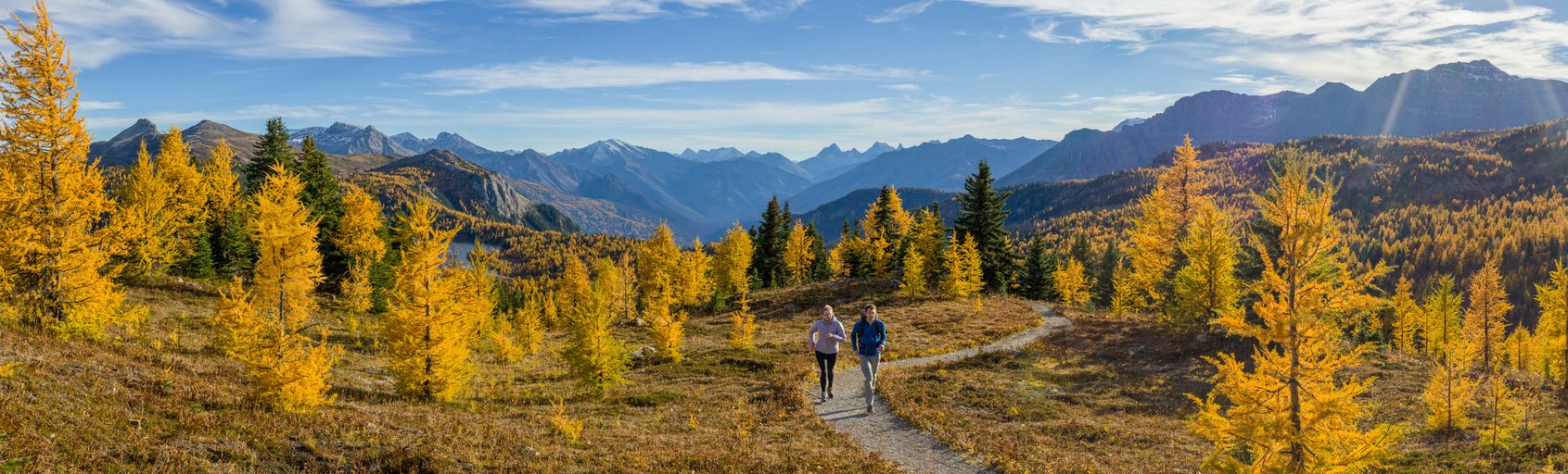 Two hikers in Sunshine Meadows during larch season.