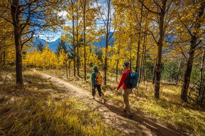 Couple hiking through a wooded trail amongst fall foliage