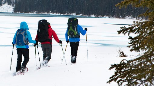 Three people cross country skiing with a fog covered mountain view.
