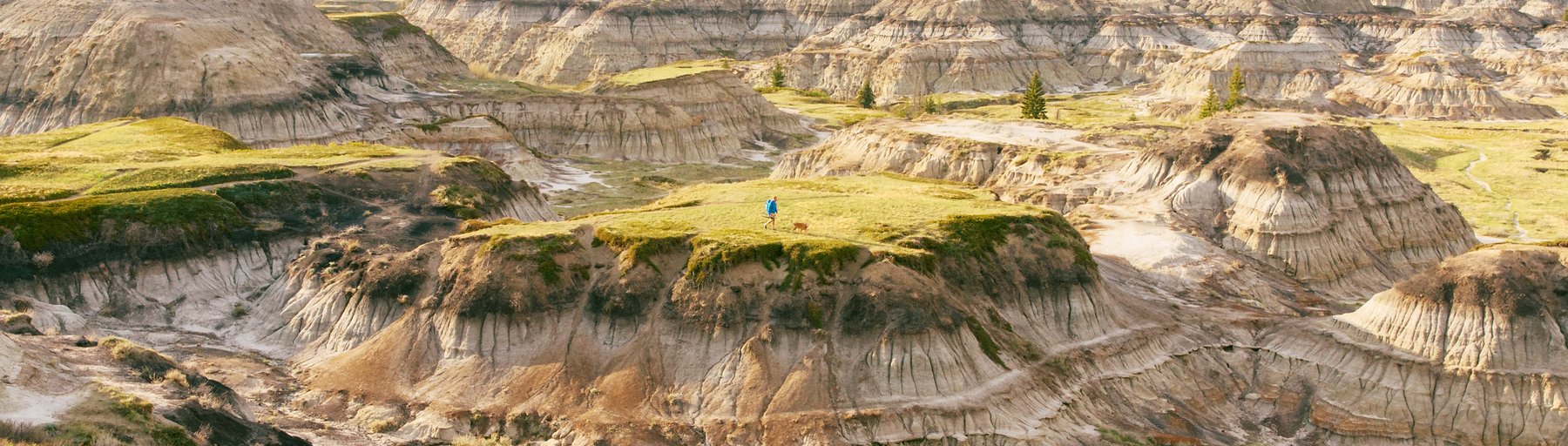 Person and their dog hiking in the badlands