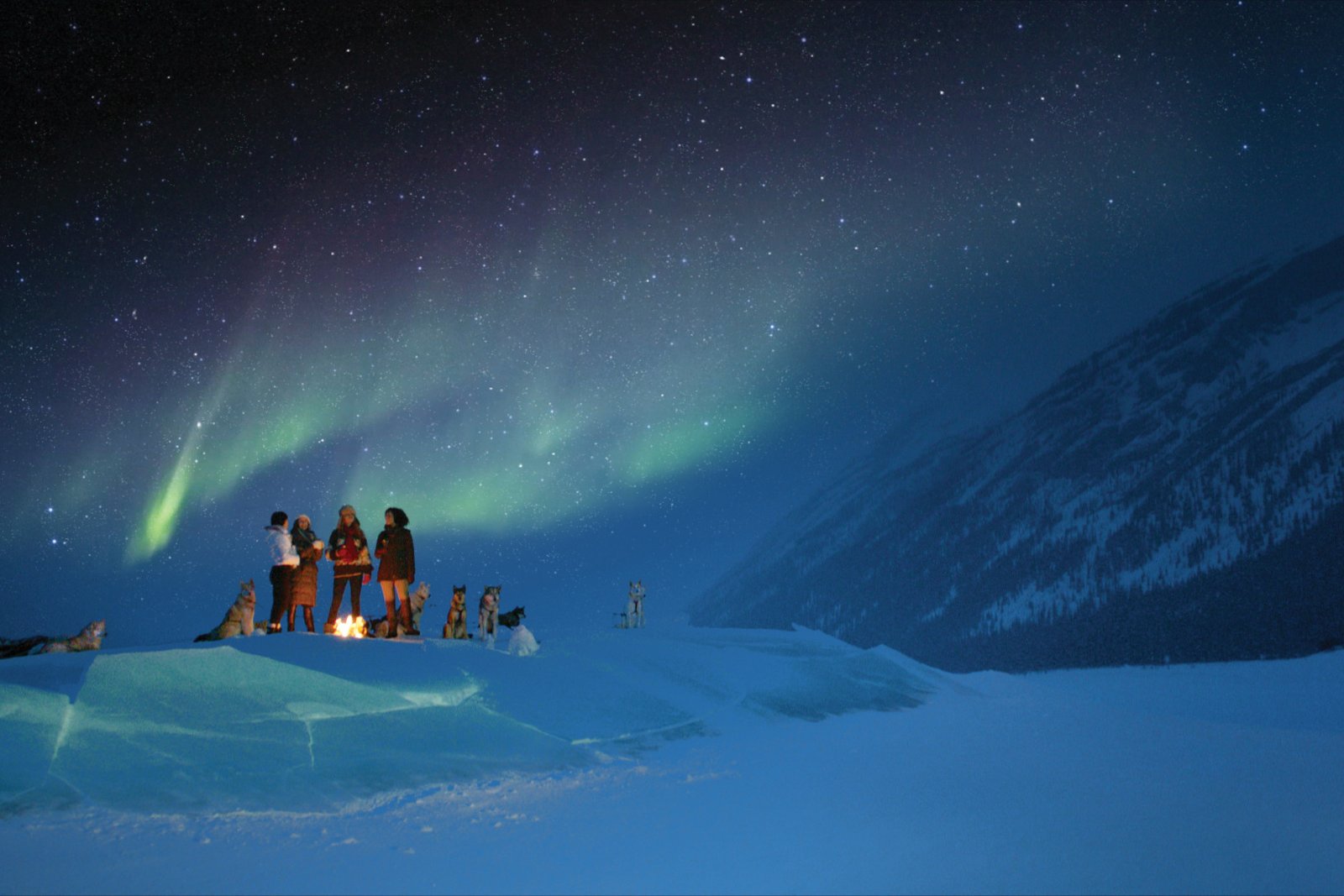 Four women with sled dogs standing around a fire at night drinking hot beverages while they watch the Northern Lights.