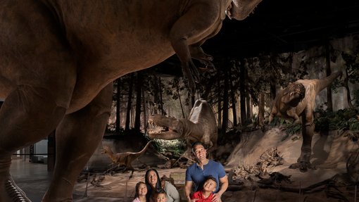 A family looking at a dinosaur display at the Royal Tyrrell Museum in Drumheller.