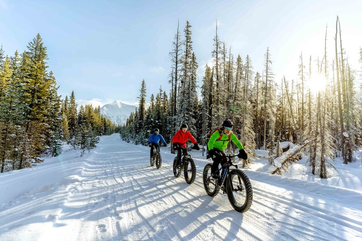 A group of fatbikers enjoy a winter trail in forest while fatbiking in Kananaskis Country.