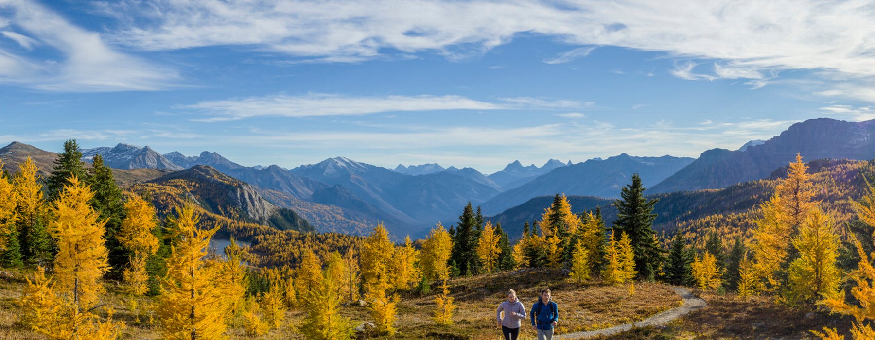 Couple jogging on a path in Sunshine Meadows during larch season.