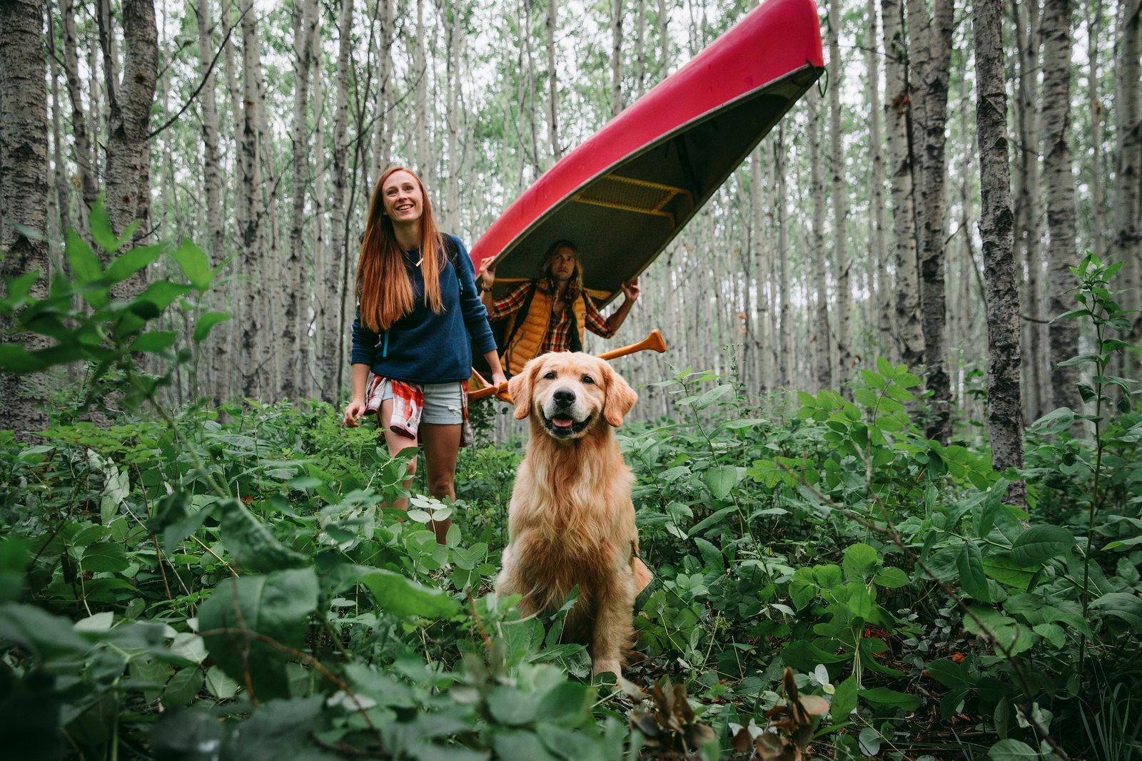 Friends hiking in the woods with a golden retriever, carrying a red canoe.