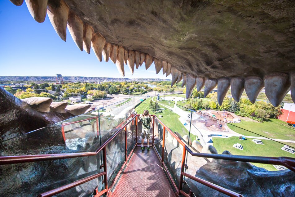Little boy looking out of the mouth of the World's Largest Dinosaur, a model Tyrannosaurus rex.