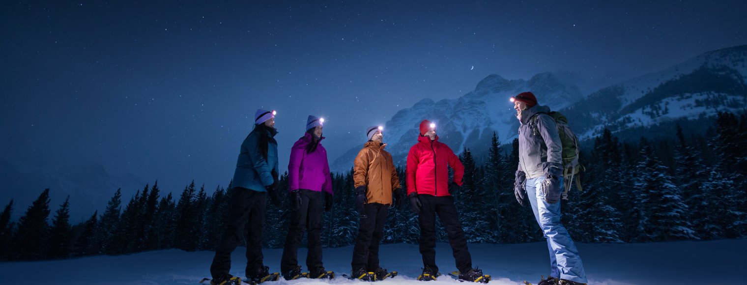 Four friends and a guide in snowshoes looking up at the night sky featuring the forest, mountains and stars.