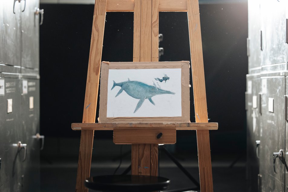 A painting showing a Shonisaurus sikanniensis and a human scuba diver sits on a wooden easel