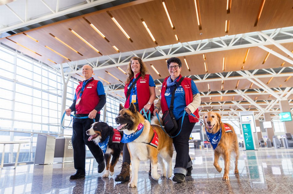 Three people walking three dogs through the airport terminal
