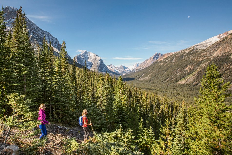2 women hiking in evergreen forest near Mount Edith Cavell in Jasper National Park.
