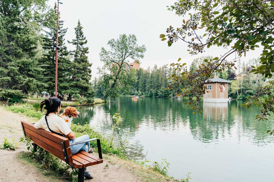 woman and dog sit on park bench looking at a green lake bowness park calgary