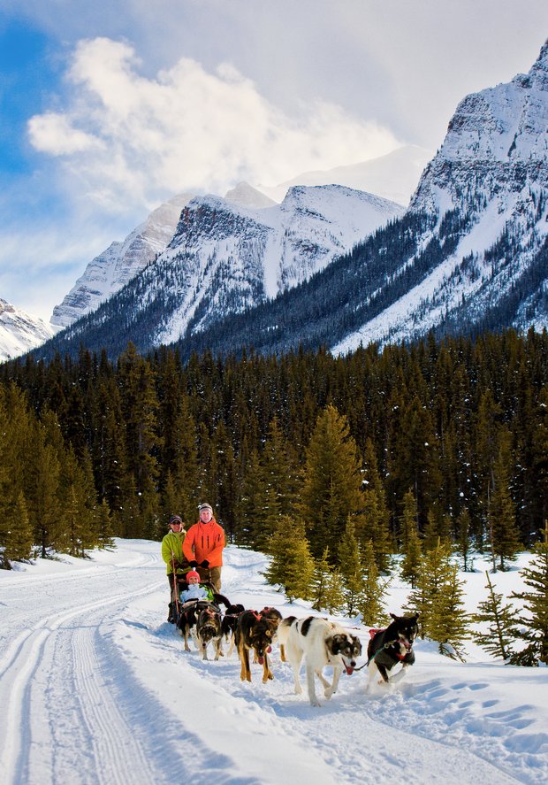 A couple and guide on a dog sledding tour with mountains and a forest in the background.