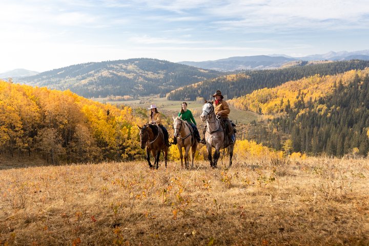 Group horseback riding in the fall kananaskis country