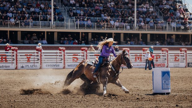 Barrel racer competing at the Calgary Stampede.