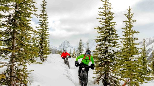 People ride fat bikes over a snowy trail with trees and mountains in the background.