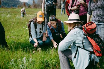Visitors taking photos and exploring plant species in Waterton Lakes National Park