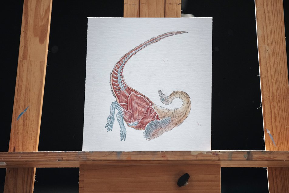 A painting of an Ornithomimus sits on a wooden easel
