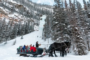 A group of travellers enjoy a horse-drawn sleigh ride along the shore of Lake Louise with a frozen waterfall and forest in the background.