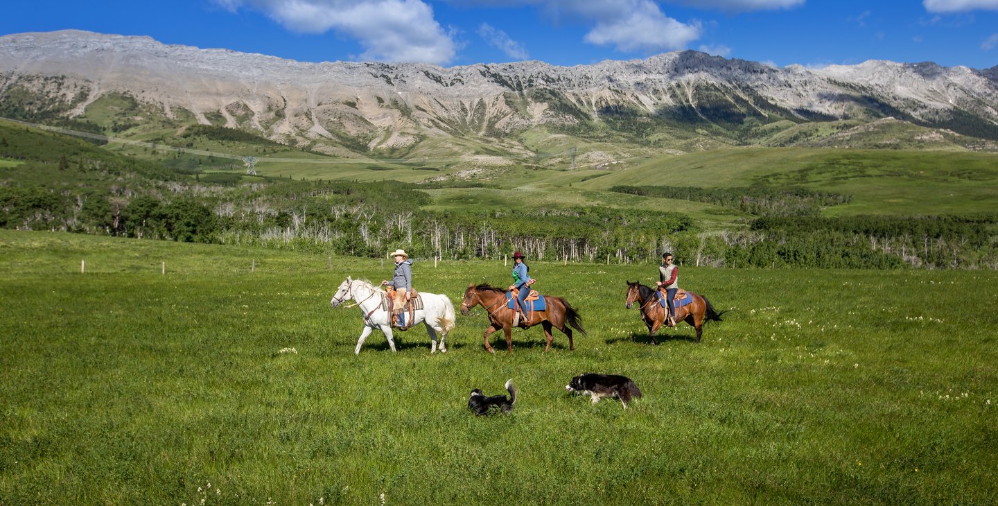 People riding horseback with dogs and mountains in the background.