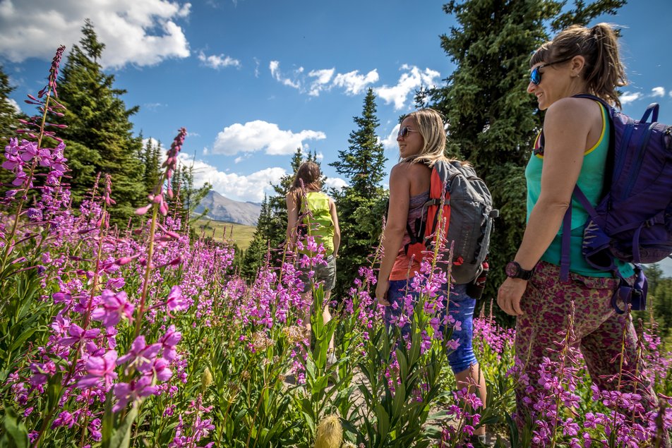 A group of friends hiking through wildflowers with mountains in the background.
