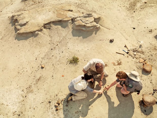 Couple digging for fossils with a guide at Dinosaur Provincial Park in the Canadian Badlands, Southern Alberta