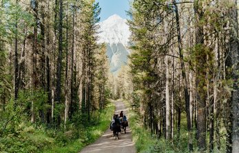 horseback trail ride kananaskis country