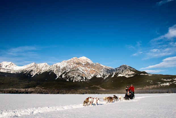 A family dog sledding on an open snow covered trail with mountains in the background.
