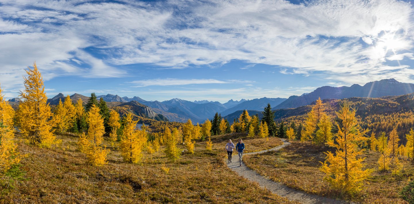 Man and woman jogging through gold larches with a mountain backdrop.