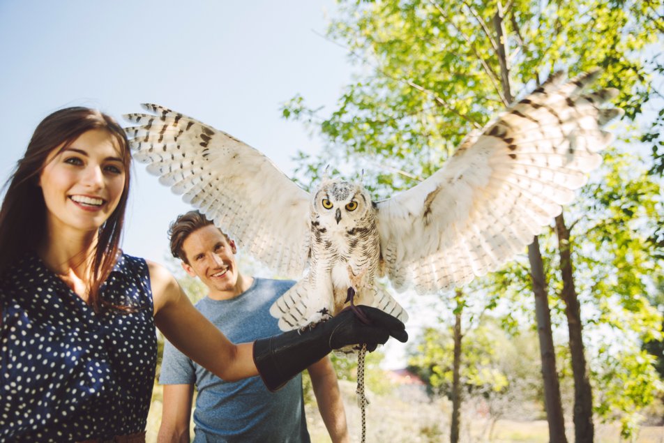 A young woman holding an owl at the Alberta Birds of Prey Visitor's Centre in Coaldale