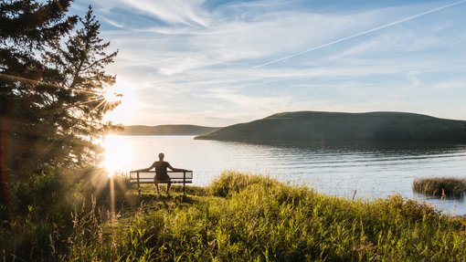 Person sitting on bench at Cypress Hill Provincial Park