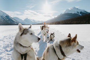 Group dogsledding with Snowy Owl Sled Dog Tours in Kananaskis Country.