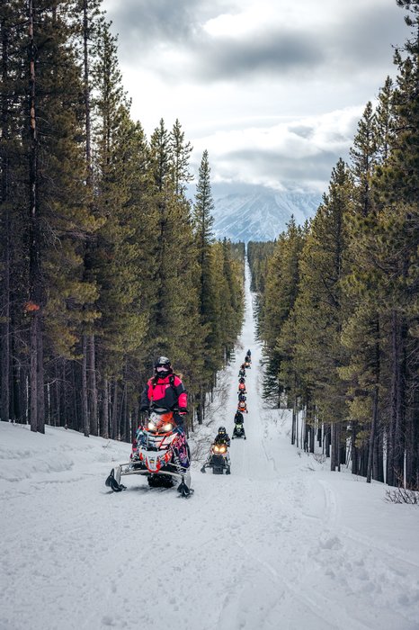 A group of snowmobilers form a single-file line while snowmobiling on a path through a snow covered forest.