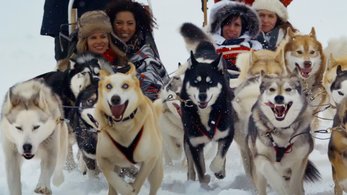 Two teams of huskies pull women over Spray Lakes in Kananaskis Country.