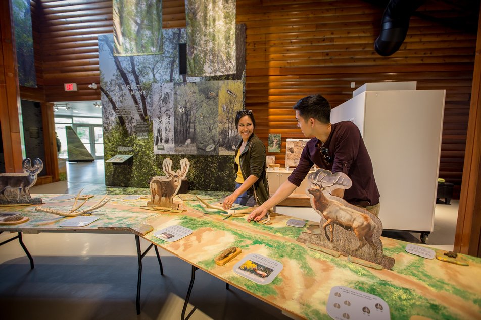 Museum goers check out the exhibits at the Helen Schuler Nature Centre.