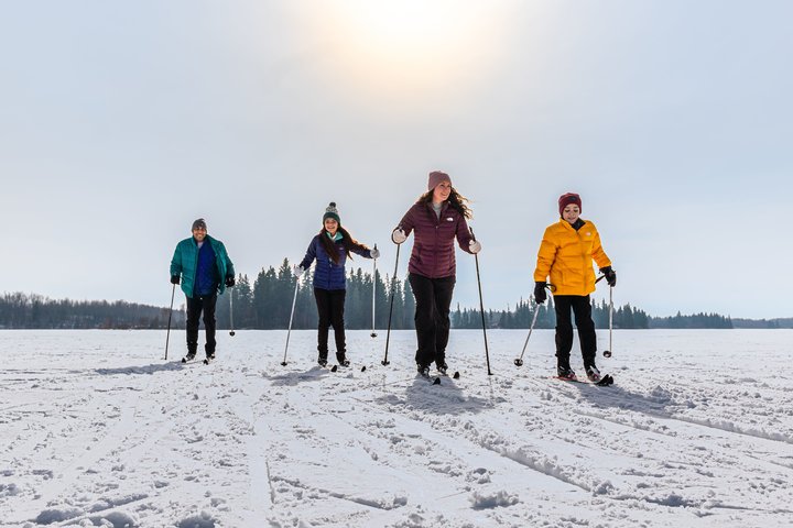Family cross country skiing in the brilliant sunshine, Elk Island Provincial Park.